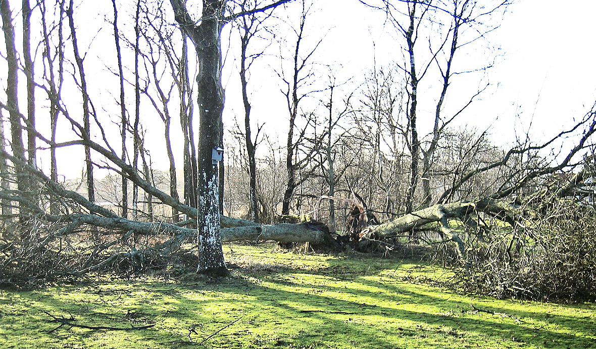 Ny storm på väg
