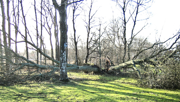 Ny storm på väg